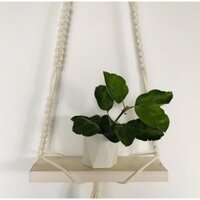 Kệ Macrame treo cây cảnh mini