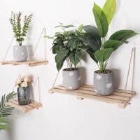 Kệ nan gỗ thông treo decor cây cảnh mini, trang trí ban công