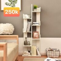 Kệ sách xương rồng ( màu trắng)