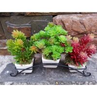 Kệ sắt kèm chậu cắm hoa, trồng sen đá