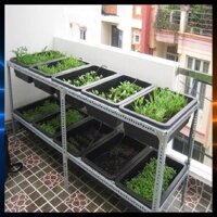 Kệ Sắt Trồng Rau Thông Minh 2 Tầng Trồng Rau Kích Cỡ 67x43x15 Cm - HN