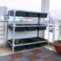 Kệ Sắt V Lỗ trồng rau 3 TẦNG có giàn bầu bí (Cao 2m x Dài 1.5m x Rộng 65cm)