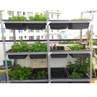 Kệ sắt v lỗ trồng rau sạch 3 tầng -12khay nhựa, ( kích thước khay 65,67,68 x 42,43x 15cm đều vừa)