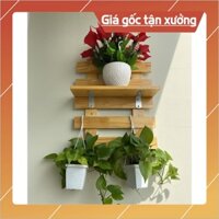 kệ treo cây cảnh trang trí treo tường gỗ thông y hình