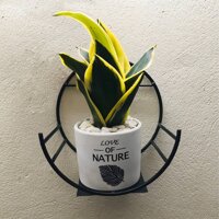 Kệ Treo Trang Trí Hình Bán Nguyệt Dán Tường Tiện Dụng ,Giá Treo Chậu Hoa Ban Công Phòng Khách- Phong Cách Hiện Đại- Chính Hãng MINIIN - Combo 3c