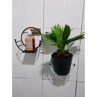Kệ Treo Trang Trí Hình Bán Nguyệt Dán Tường Tiện Dụng ,Giá Treo Chậu Hoa Ban Công Phòng Khách- Phong Cách Hiện Đại- Chính Hãng MINIIN - Combo 5c
