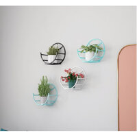 Kệ Treo Trang Trí Hình Bán Nguyệt Dán Tường Tiện Dụng ,Giá Treo Chậu Hoa Ban Công Phòng Khách- Phong Cách Hiện Đại- Chính Hãng MINIIN - 1 Chiếc