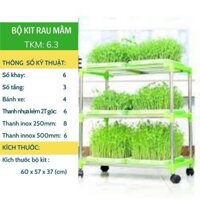 Kệ trồng rau 3 tầng thông minh ( gồm 6 khay và hạt giống)