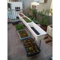 Kệ trồng rau sạch 2 tầng chậu 68 và chậu 67 thông minh giá bán chưa chậu