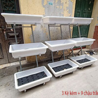 Kệ trồng rau sạch 3 tầng chậu thông minh, giàn trồng rau sân thượng ban công tại nhà inox, kẽm - ko chậu - hoantho87