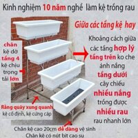 Kệ trồng rau sạch bậc thang 4 tầng giá ko chậu