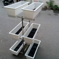 Kệ trồng rau sạch, kệ chậu nhựa trồng hoa cây cảnh 3 tầng 6 chậu dài giá chưa gồm chậu