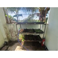 Kệ trồng rau sạch tháo lắp 4 tầng 12 khay