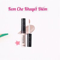 Kem che khuyết điểm The Saem Cover Perfection Tip Concealer(6.5g)