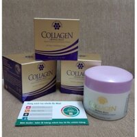 Kem Collagen kết hợp sữa ong chúa và nhau thai cừu Golden Hive Collagen + Royal Jelly