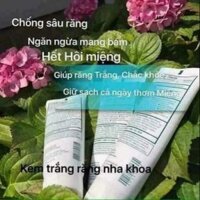 KEM ĐÁNH RĂNG AP24 -NUSKIN