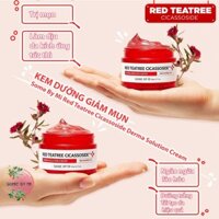 Kem dưỡng cho da nhạy cảm Some By Mi Red Teatree Cicassoside Final Solution Cream 60g