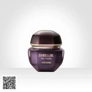 Kem dưỡng da ban ngày Embellir Day Cream 45g