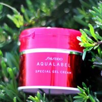 Kem Dưỡng Da Shiseido Aqualabel 90g