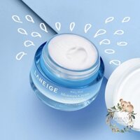 Kem dưỡng Laneige Water Bank Moisture Cream Ex