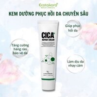 Kem dưỡng phục hồi da bị hư tổn và mệt mỏi - CICA PLUS REPAIR CREAM (50ml)
