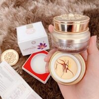 Kem Dưỡng Trắng Da Nám Tàn Nhang Saffron Hải Âu Việt Xoá Nám, Mờ Thâm 20g
