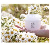 Kem Dưỡng Trắng Da White Chrysanthemum Radiance Cream SPF 35 PA++