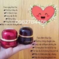 Kem hoa cúc đêm Hàng chuẩn