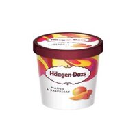 Kem Hỗn Hợp Xoài & Phúc Bồn Tử Haagen-Dazs 100Ml