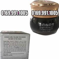 KEM KORSES CHUYÊN TRỊ NÁM NHẬT BẢN