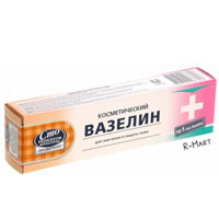 Kem nẻ Vaseline Nga dạng tuýp chuyên mọi loại nứt nẻ dành cho mặt, tay chân và toàn thân 42ml