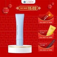 Kem Nền Kiềm Dầu Che Phủ Lỗ Chân Lông the SAEM Saemmul Perfect Pore BB 30g