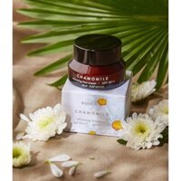 KEM NGỪA MỤN & TRẮNG DA CÚC LA MÃ soHERBS 20ml