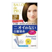 Kem Nhuộm SALON DE PRO Nâu Be Số 3B                                       80g
