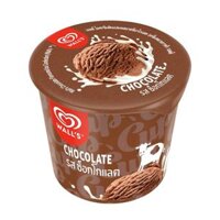 Kem socola Wall'S hũ 46g