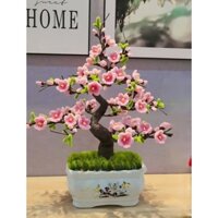 [kèm thân bonsai]sét nguyên liệu làm cây hoa đào bonsai