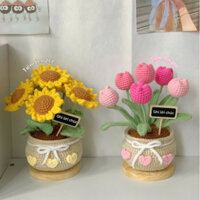 [KÈM THIỆP] chậu hoa hướng dương, tulip len