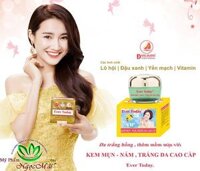 Kem trị Mụn - Nám - Trắng da Cao Cấp EVER TODAY (15g) [bonus]