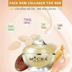 Kem trị nám Face Collagen tảo non Mocha