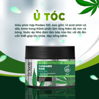 Kem ủ chăm sóc tóc chuyên sâu, phục hồi hư tổn - Cannabis Hair