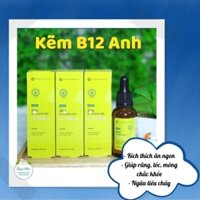 kẽm & vitamin b12