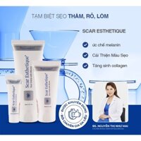 Kem xóa mờ Sẹo Thâm, Sẹo Rỗ, Sẹo Lõm Scar Esthetique của Rejuvaskin