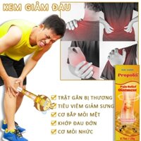 Kem xương khớp Kem xoa bóp 20g Kem Nọc Ong Giảm viêm khớp sụn khớp đầu gối va cổ bệnh gout và đau thấp khớp