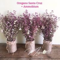 KEMKEM Set Hoa Khô Decor Vintage ❤️FREESHIP❤️ trang trí phong cách Retro hoa khô Oregano Santa Cruz mix Ammobium 73 15