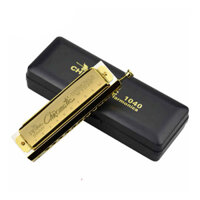 Kèn Harmonica Chromatic Swan SW1040 Gold (10 Lỗ)
