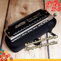 Kèn Harmonica EASTTOP CHROMATIC KING DREAM T12-48K