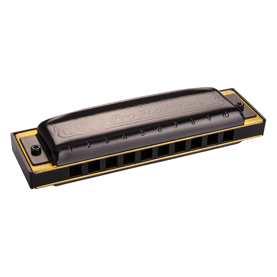 Kèn harmonica Hohner Diatonic Pro Harp M564016 (Key C)