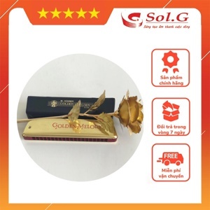 Kèn Harmonica Hohner Golden Melody M2416017