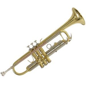 Kèn Selmer TR650