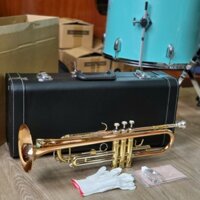 Kèn Trumpet 3 màu loa đỏ hãng Saiger STR-511 biểu diễn chuyên nghiệp